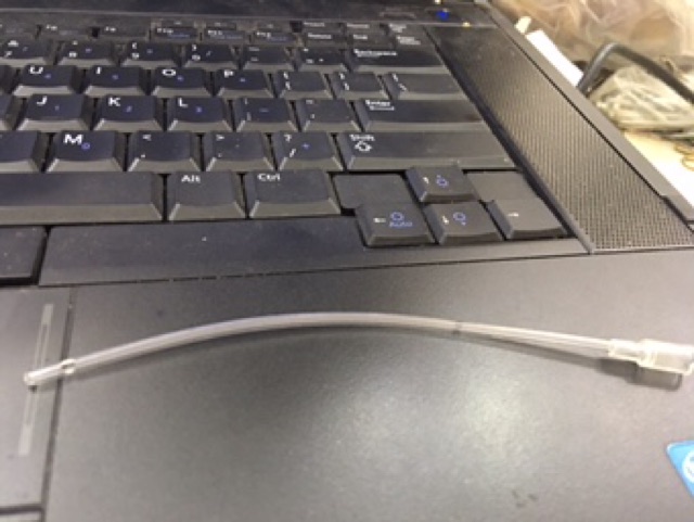 Ống đút cho vẹt non