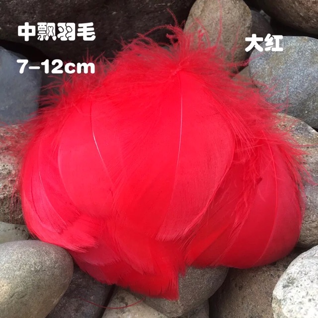 Lông vũ đủ màu kt 7-12cm