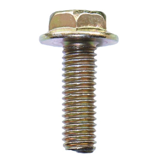 Bộ 10 bù lon xi vàng (m5x20 - BL8)