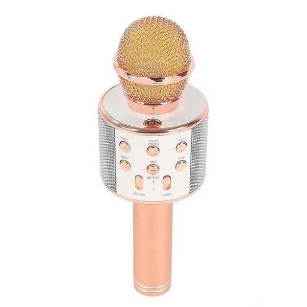 Microphone Karaoke Kèm Loa WSTER WS-858 ST2S354