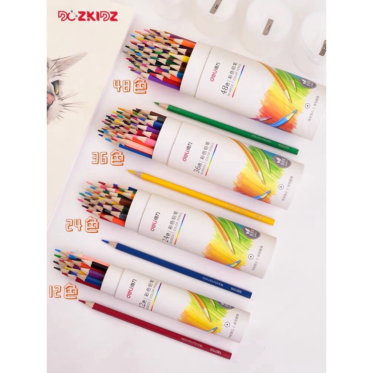 Bút chì màu 12/24/36 cao cấp - DOZKIDZ