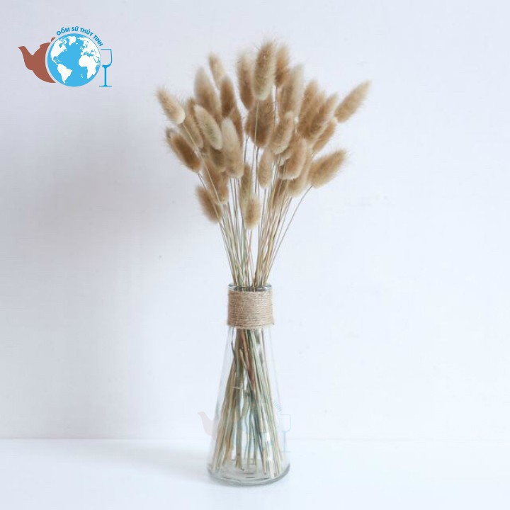 Lọ hoa thủy tinh / Bình hoa thủy tinh tam giác decor tặng kèm 50cm dây dừa trang trí