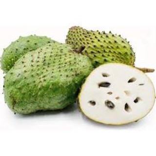 Cây mãng cầu xiêm
