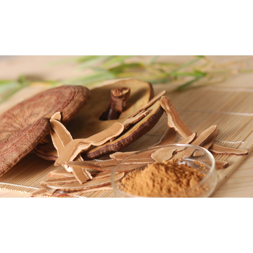 Nấm Linh chi đỏ thượng hạng dạng túi - Bồi bổ sức khỏe, tăng sức đề kháng chống lão hóa - Hàng loại I - CRICKET