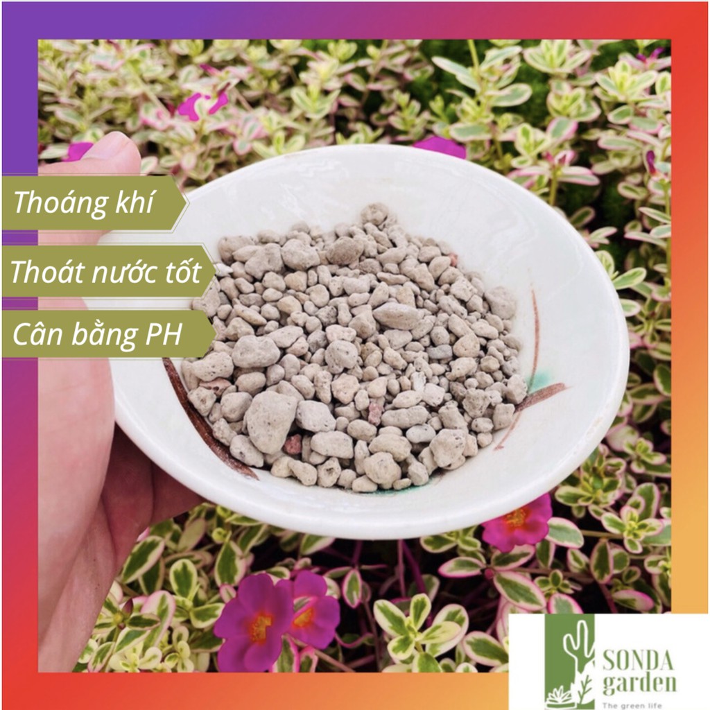 Đá pumice SONDA GARDEN (1kg) cho sen đá, xương rồng