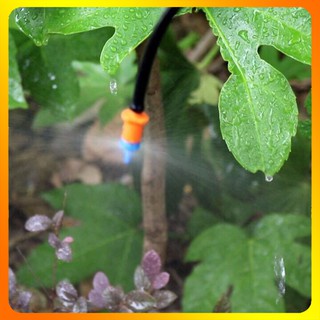 10 Béc Tưới Gốc Chống Côn Trùng Tưới Rau, Cây Cảnh