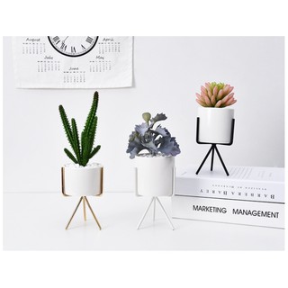 Chậu sứ trồng cây mini trồng sen đá trang trí bàn làm việc đẹp