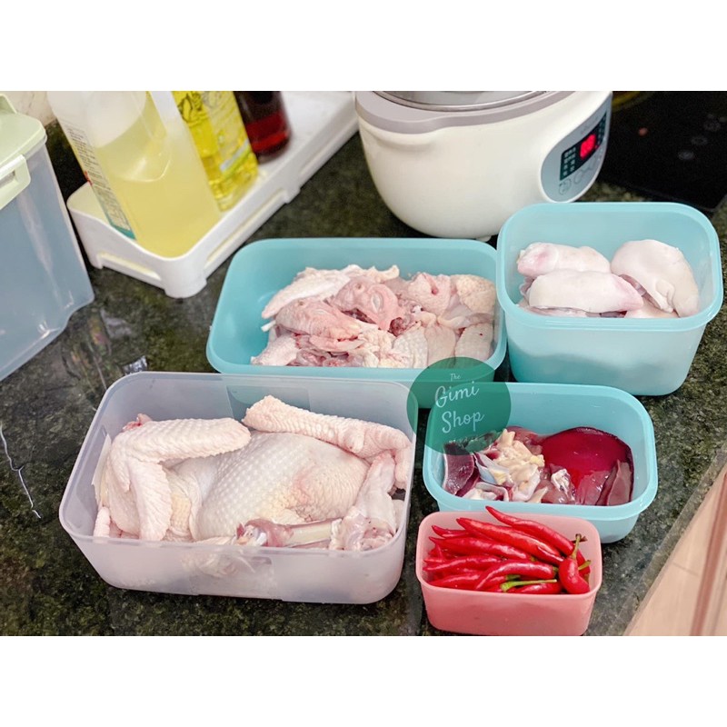 Bộ 6 Hộp Trữ Đông Freezermate Tupperware Thế Hệ II Nhựa Nguyên Sinh An Toàn Tuyệt Đối | BigBuy360 - bigbuy360.vn