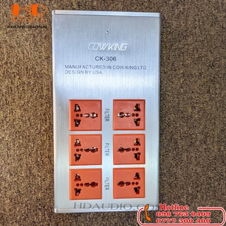 Bộ lọc nguồn điện sạch cowking ck - 306