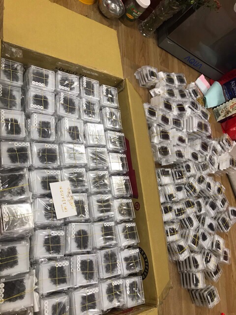 Mi fan 3D xoè đẹp