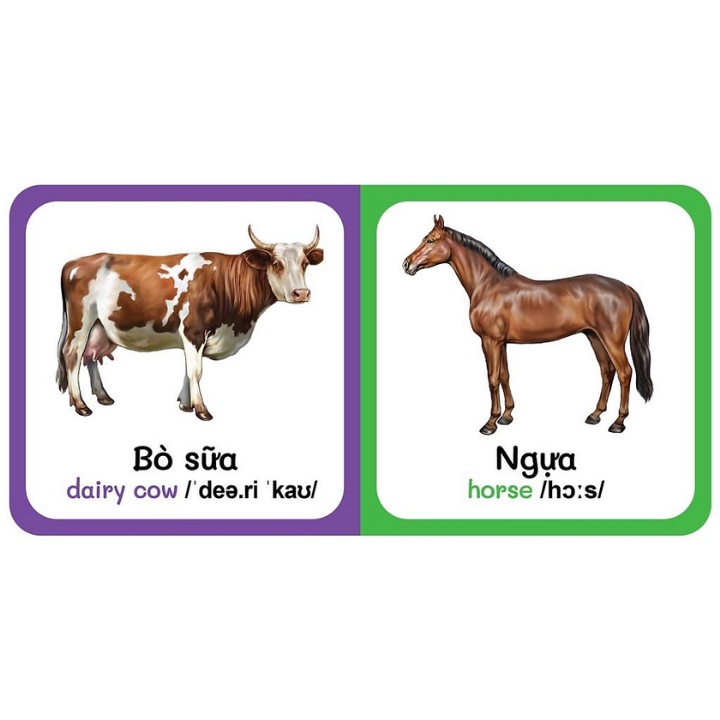 Sách - Từ Điển Bằng Hình Đầu Tiên Của Bé - Farm Animals - Động Vật Nuôi (Song Ngữ Anh-Việt)