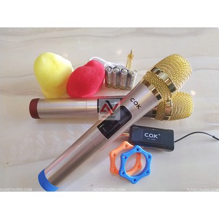 Bộ 2 micro không dây COK ST-123