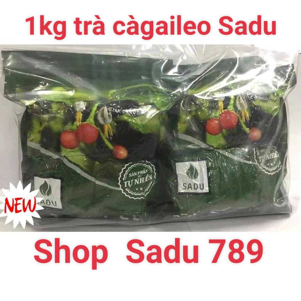 1kg Trà túi lọc  Cà Gai Leo Sadu