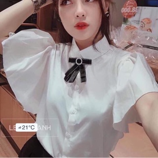 Áo sơmi tay bèo cổ nơ -TH