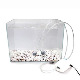 Sủi đĩa oxy siêu mịn 6cm 10cm