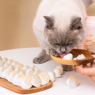 Pudding thạch sữa dê bổ sung Canxi cho mèo