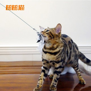 Đồ chơi mèo, đồ chơi mèo, đồ chơi mèo, đồ chơi mèo, đồ chơi mèo