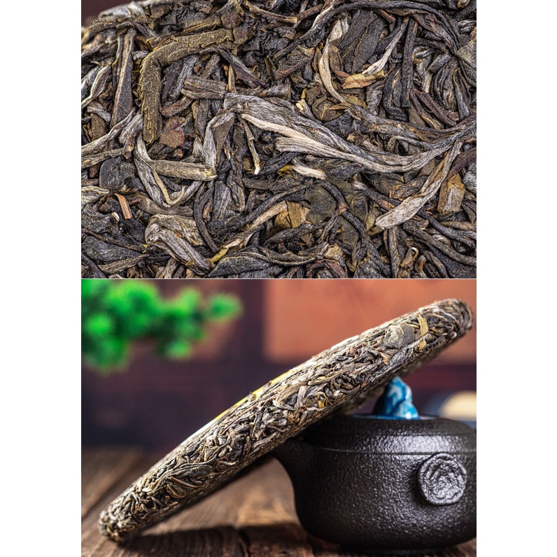 BÁNH TRÀ PHỔ NHĨ SỐNG ĐẠI TUYẾT SƠN VÂN NAM (BÁNH 357 GRAM, NĂM 2021)