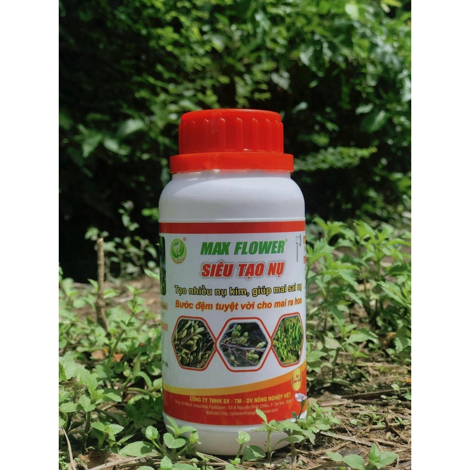 MAX FLOWER SIÊU TẠO NỤ