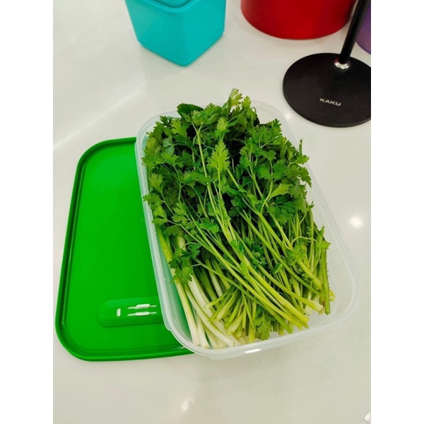 Lẻ hộp trữ mát ventsmart 1.8L cao/1.8L thấp/4.4L tupperware hàng chính hãng