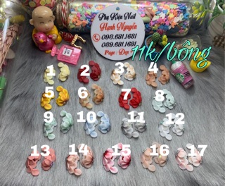Hoa bột 3D : Hoa Cúc Dài -Set 2 bông 22.000