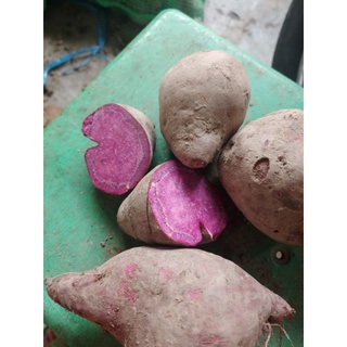 < Giá Sập Sàn >  Khoai lang tím  chỉ hơn 6000 1 kg