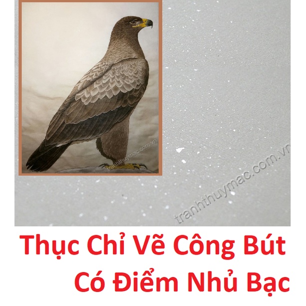 🚚 Giấy Xuyến Chỉ Cao Cấp Dùng Vẽ Tranh Thủy Mặc Giấy Vẽ & Viết Thư Pháp 🚚 Freeship