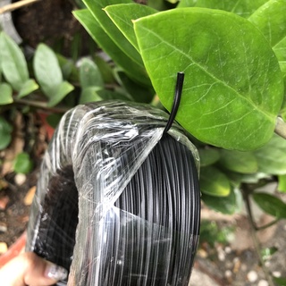 Dây kẽm Lan bọc nhựa đen