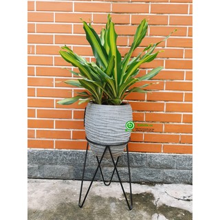 Đôn kê chậu cây sắt 3 chân C40cm