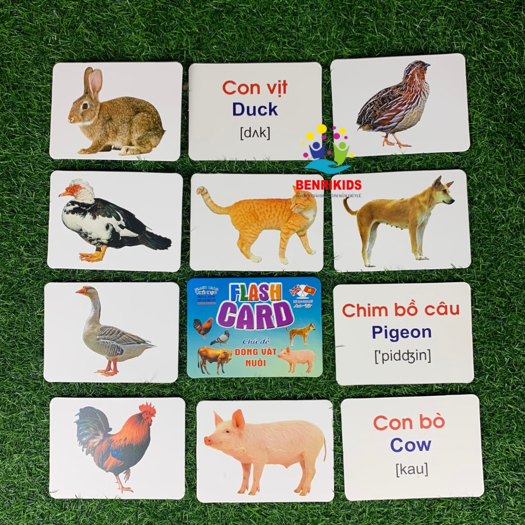 Thẻ Học Thông Minh, Flashcard Song Ngữ Nhiều Chủ Đề Kèm Hình Ảnh Minh Họa Ngộ Nghĩnh Cho Bé Học Tiếng Anh Tại Nhà