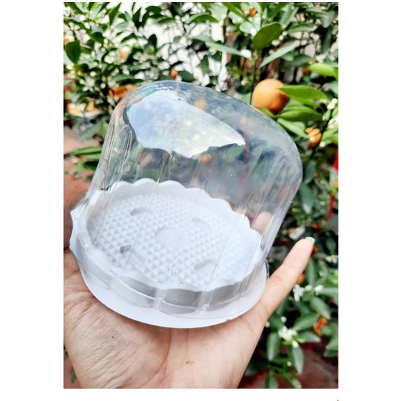 100c Hộp H15 bầu đựng bánh bao đào tiên, xôi khuôn cúng thôi nôi