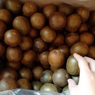 1 Quả la hán loại to