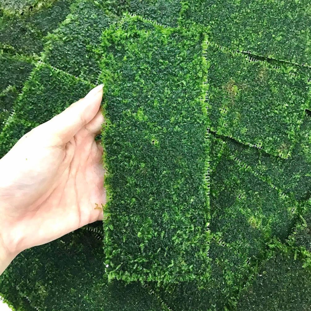 Rêu Mini Taiwan Vỉ 8x20