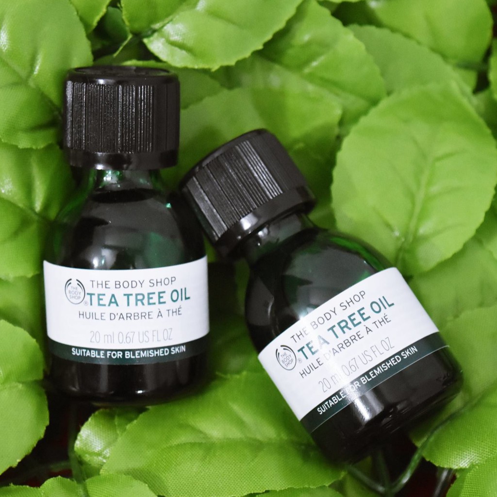 Tinh Dầu Tràm Trà Giảm Mụn - The Body Shop Tea Tree Oil [10ml & 20ml] | BigBuy360 - bigbuy360.vn