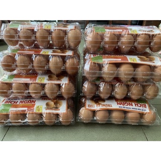 TRỨNG GÀ + TRỨNG VỊT 🔥 HOẢ TỐC GÒ VẤP 🔥