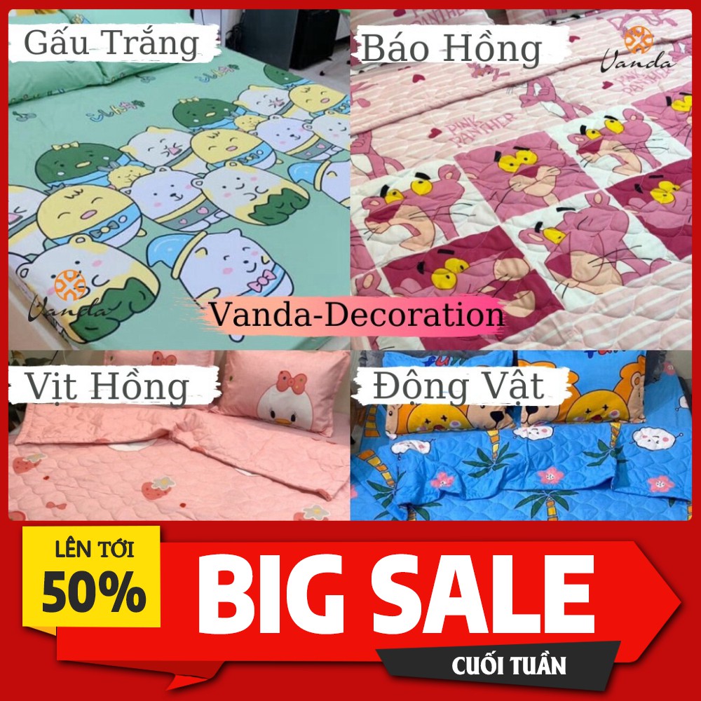 Set ga gối Cotton Poly họa tiết đáng yêu - Hàng đẹp không bai xù