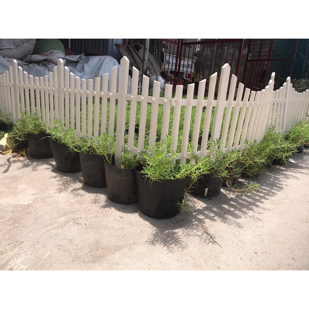Hàng rào nhựa có đế cắm đất 70 cm x 42 cm