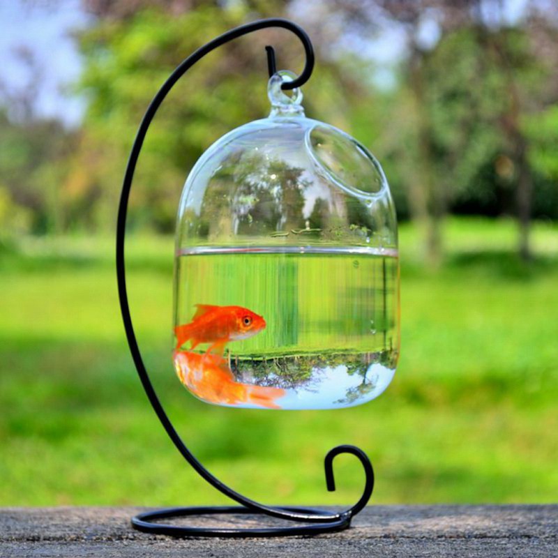 Bình nuôi cá mini có móc treo dùng trang trí xinh xắn