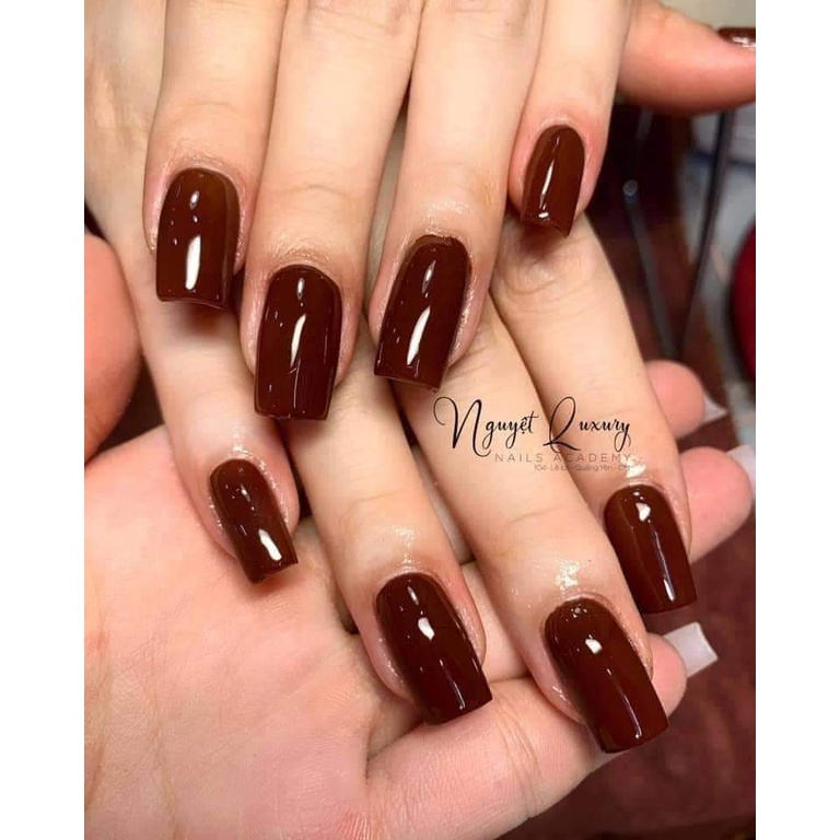 Sơn gel Vandonnie chính hãng màu đỏ đô 15ml