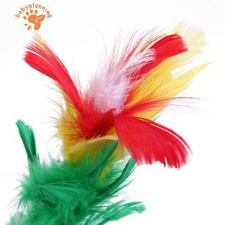 Bộ đũa thần kì làm ảo thuật