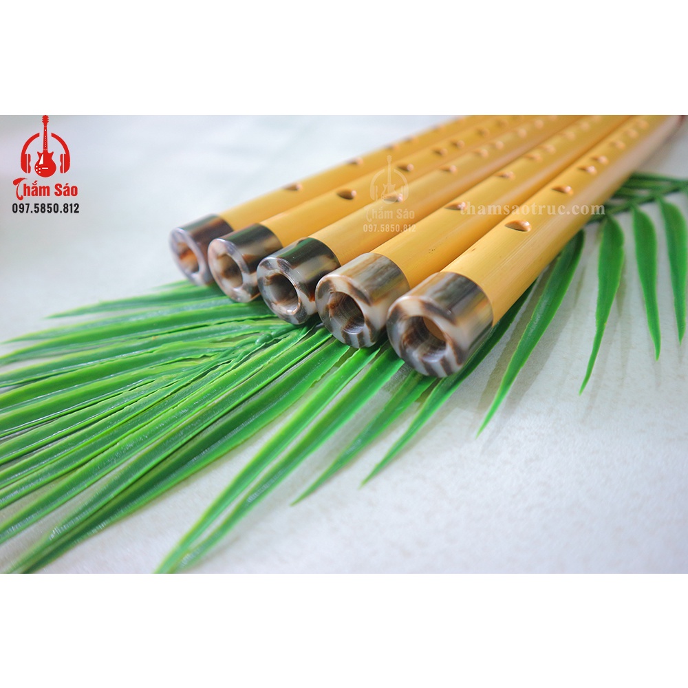 SÁO DỌC Chuẩn Âm C5 Nạm Ngọc - Shop Sáo Trúc Thắm Sáo