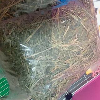 Cỏ khô Alfalfa nhiều lá giá rẻ dành cho thỏ bọ