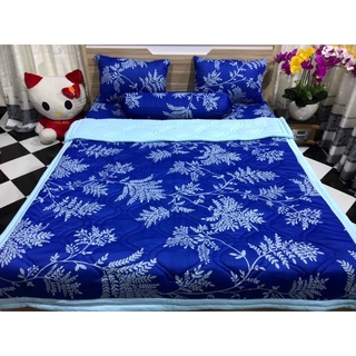 ga lẻ size 1m6x2m