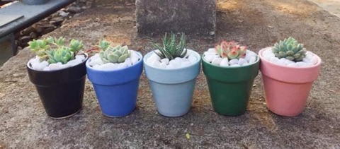 Chậu gốm Bát Tràng size 7cm
