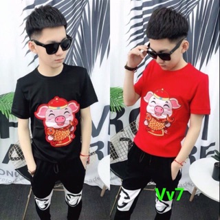 Áo thun heo