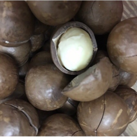 Hạt macca nứt vỏ Úc 500g