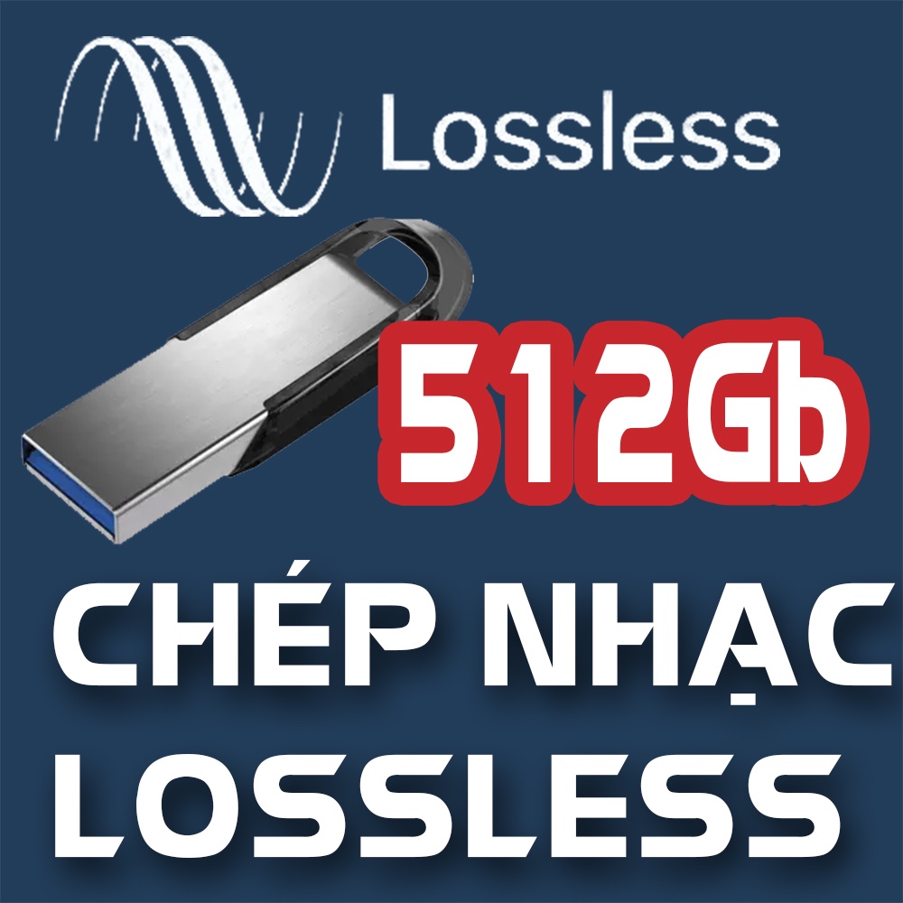 Chép nhạc chất lượng cao  - Bán kèm thiết bị lưu trữ USB