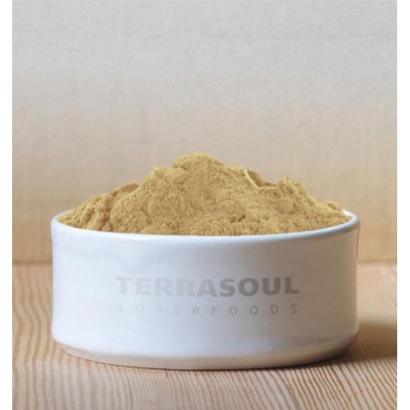 Bột Amla hữu cơ ( Amla powder) - Terrasoul Superfoods