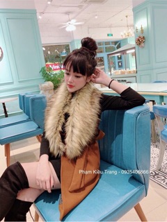 Dạ gilê cổ lông