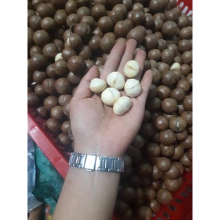 (500GRAM) HẠT MẮC CA SẤY NHÀ LÀM - LOẠI ĐẶC BIỆT